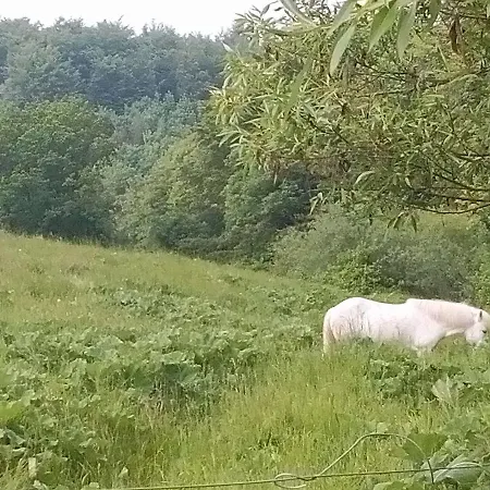 Lille Himalaja *
