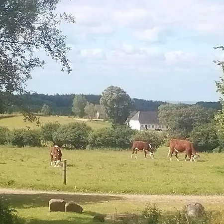Lille Himalaja Bed & Breakfast Fåborg