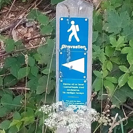 Lille Himalaja Fåborg